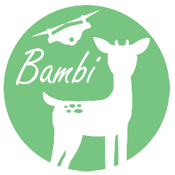 bambi